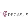 Pegasus Building Services