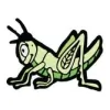 Grasshopper Landscaping Maintenance