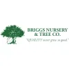 Briggs Tree