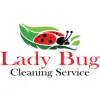 Lady Bug Cleaning Service