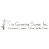 The Growing Scene