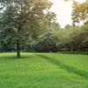 Eden Lawn Care & Tree Service