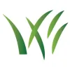 Green Up Turf Care