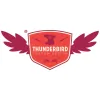 Thunderbird Custom Design