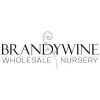Brandywine Nursery