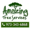 Amazing Tree Service