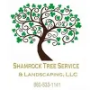 Shamrock Tree Service
