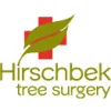 Tree Surgery