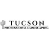 La Cholla Landscaping