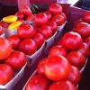Harms Farm & Garden Center