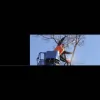 Risner's Tree Service