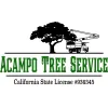 Acampo Tree Service