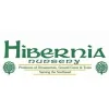 Hibernia Nursery