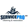 Carpet Professionals