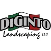 DiGinto Landscaping