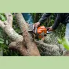 No Limits Tree Service