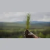 Norbord Georgia