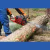 Family Tree Service