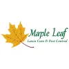 Maple Leaf Landscape