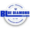 Blue Diamond Septic