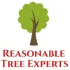 Reasonable Tree Experts
