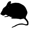 Westside Pest Solutions