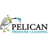 Pelican Pressure Cleaning