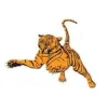 Tiger Door