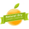 Natural Dry Carpet Cleaning