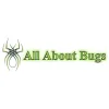All About Bugs