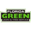 Florida Green Tree