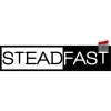 Steadfast Painting