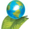 Clean Green Restoration