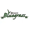 Bison Bluegrass