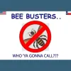 Bee Busters