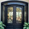 Artistic Iron Doors