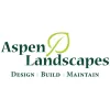 Aspen Landscapes
