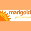 Marigold Pest Services