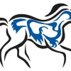 Apache Plumbing Services