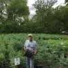Deboer Tree Farm