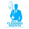 The Cleaning Agents