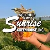 Woldhuis Farms Sunrise Greenhouse