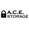 Ace Storage Center
