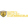 Expert Security Professionals