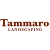 Tammaro Landscaping