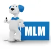 MLM Home Improvement