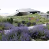 Interpretive Gardens