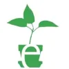Evergreen Nursery