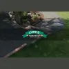 Lupe Landscaping