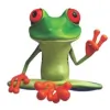 Peace Frog Carpet Cleaning